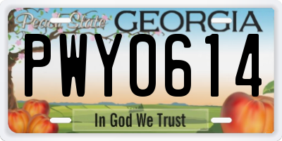 GA license plate PWY0614