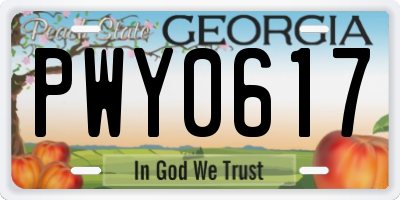 GA license plate PWY0617