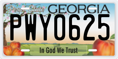 GA license plate PWY0625