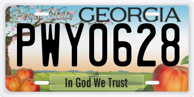 GA license plate PWY0628