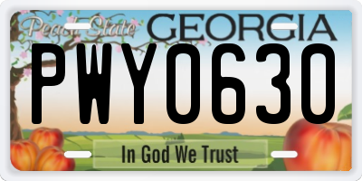 GA license plate PWY0630