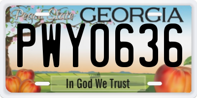 GA license plate PWY0636