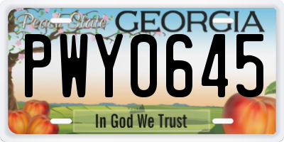 GA license plate PWY0645