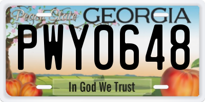 GA license plate PWY0648