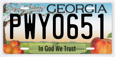 GA license plate PWY0651