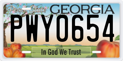 GA license plate PWY0654