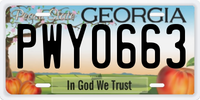 GA license plate PWY0663