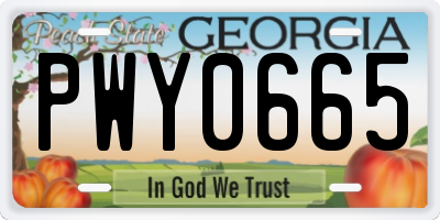 GA license plate PWY0665