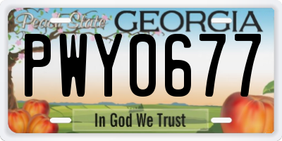 GA license plate PWY0677