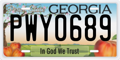 GA license plate PWY0689