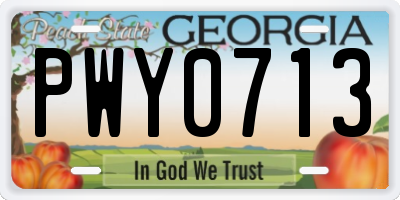 GA license plate PWY0713
