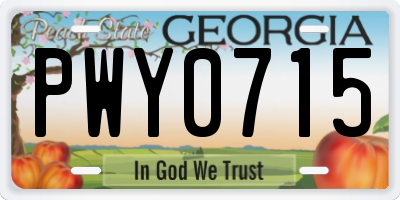 GA license plate PWY0715