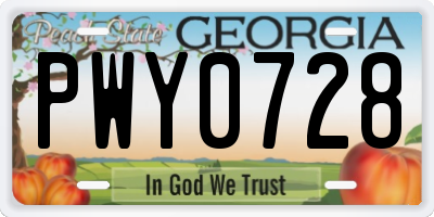 GA license plate PWY0728