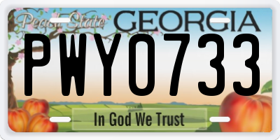 GA license plate PWY0733