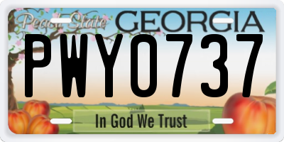 GA license plate PWY0737
