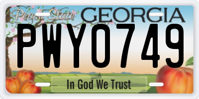 GA license plate PWY0749
