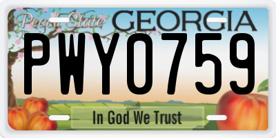 GA license plate PWY0759
