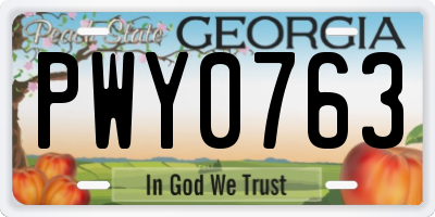 GA license plate PWY0763