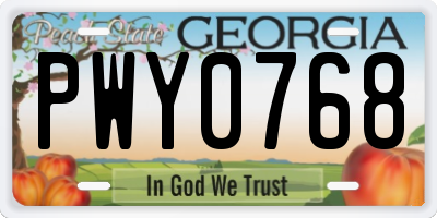 GA license plate PWY0768