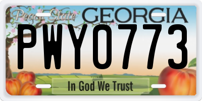 GA license plate PWY0773