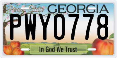 GA license plate PWY0778