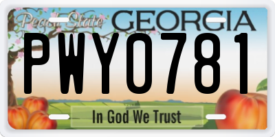 GA license plate PWY0781