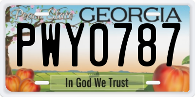 GA license plate PWY0787