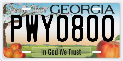 GA license plate PWY0800
