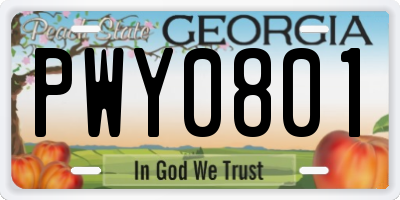 GA license plate PWY0801