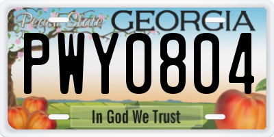 GA license plate PWY0804