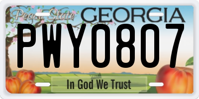 GA license plate PWY0807