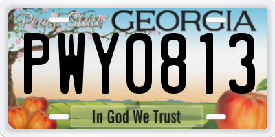 GA license plate PWY0813