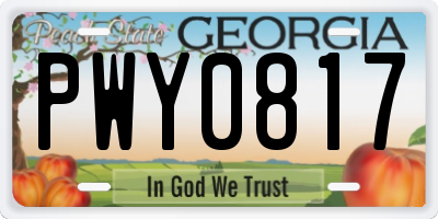 GA license plate PWY0817