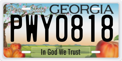 GA license plate PWY0818