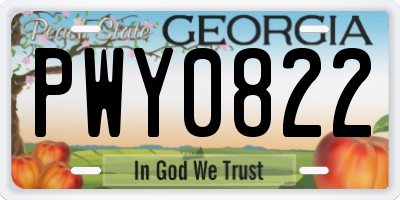 GA license plate PWY0822