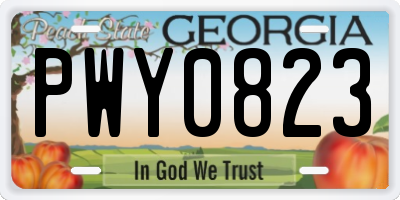 GA license plate PWY0823