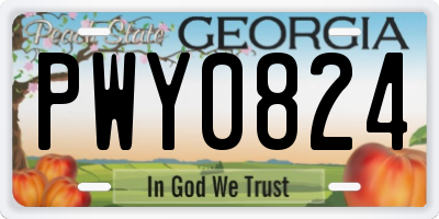 GA license plate PWY0824