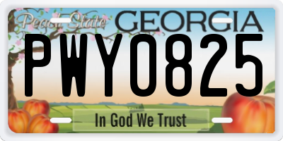 GA license plate PWY0825