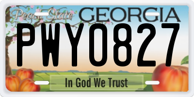 GA license plate PWY0827
