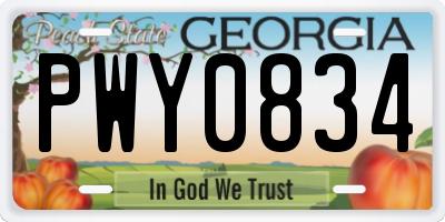 GA license plate PWY0834