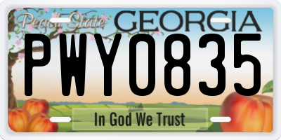 GA license plate PWY0835
