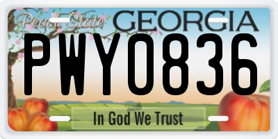 GA license plate PWY0836