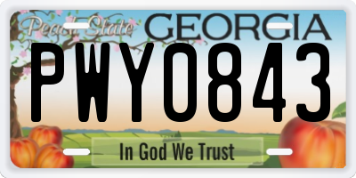 GA license plate PWY0843