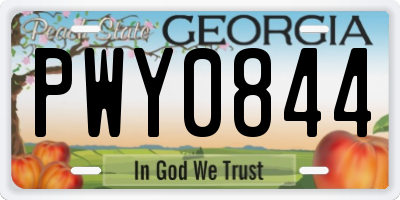 GA license plate PWY0844