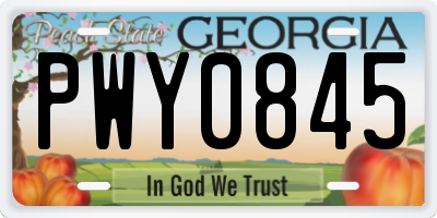 GA license plate PWY0845