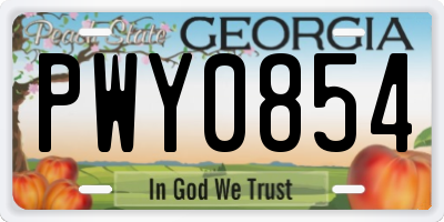 GA license plate PWY0854