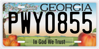 GA license plate PWY0855