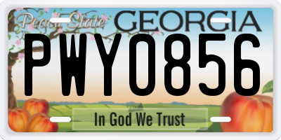 GA license plate PWY0856