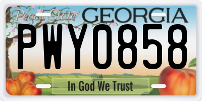 GA license plate PWY0858