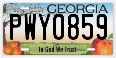 GA license plate PWY0859